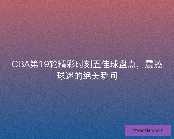 CBA第19轮精彩时刻五佳球盘点，震撼球迷的绝美瞬间