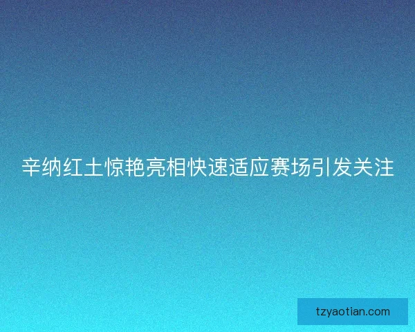 辛纳红土惊艳亮相快速适应赛场引发关注